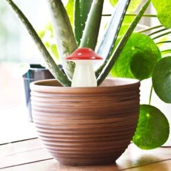 GIFT REPUBLIC Mushroom Self Watering Plant Dispenser -Fresh Plant World a17c8ebc5a359fa4913ffda8d52fbc6690f691bb8ef59b4803ad0741331845c4