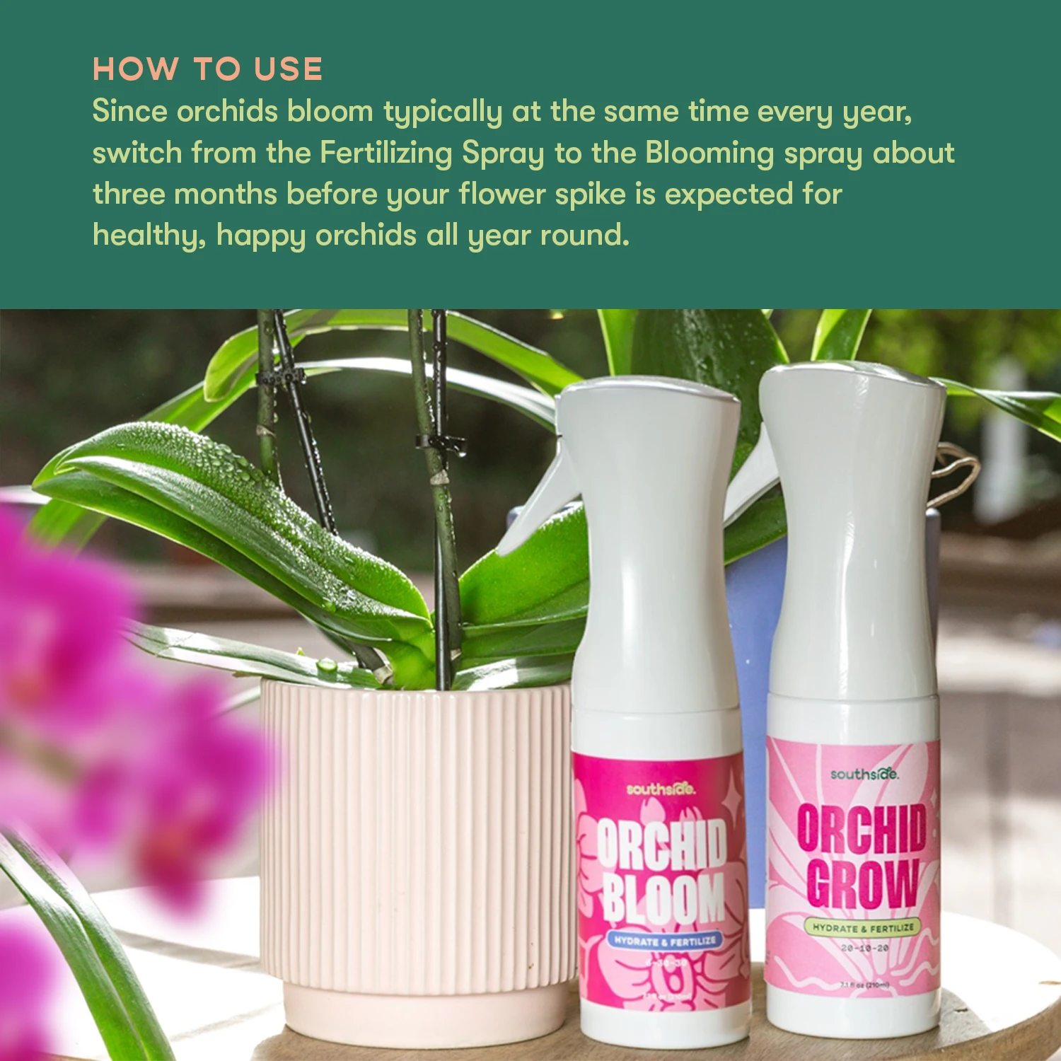Orchid Grow And Bloom Sprays 8 Orchid Grow And Bloom Sprays - Image 8