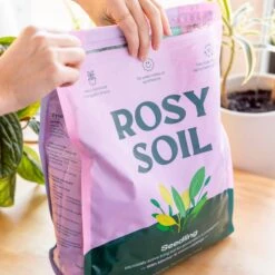 Organic Seedling & Propagation Mix, 8 Qrt 12 Organic Seedling & Propagation Mix, 8 Qrt -Fresh Plant World a3ccc221b1b43532c818b72cbe547bb3d3bca40d896ca3d96a833270e342fbae