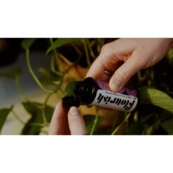 Organic Plant Food -Fresh Plant World a4203e3ce4a797a52b19f27abb57f8057f7916c322de09ae5dc66b2fc5e5d53e