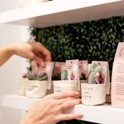 2" Canvas Plant Pot Cover -Fresh Plant World a8298168122fcadd92d50bb1eec1480585c52bd229224de211a1d65469edcbb5 e3141dc6 38fe 4e0c 850c 75edf83d7f4e