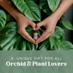 Crazy Keiki Cloning Paste -Fresh Plant World a8fdd22ae6a749cd2a37c939b5bf1d73fe62d2ac07b05b56759cf542ab6ed29d