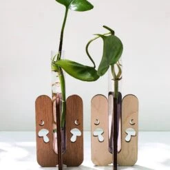 Mushroom Tabletop Propagation Station