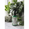 Leaf Radiance - Natural Houseplant Cleaner & Shine
