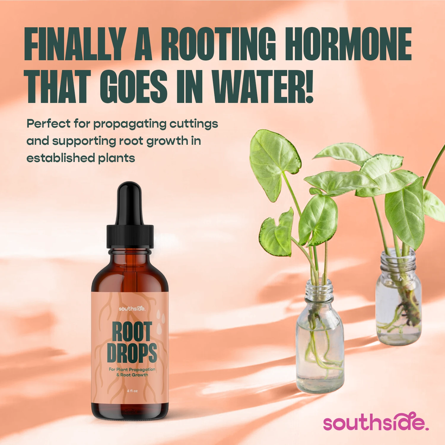 Root Drops - For Propagations & Repotting 2 Root Drops - For Propagations & Repotting - Image 2