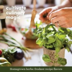 9 Herb Window Garden -Fresh Plant World c6e9bf4cd25823321204eb25c05b37890c92bad109e59fc34f19583e1a231e49