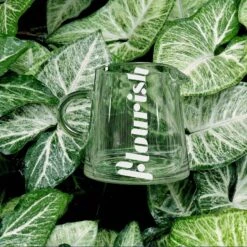 Fresh Plant World 30 Fresh Plant World -Fresh Plant World c80cd8287725959e9582fcc0c3465c113f2002d1d1d86a8cc4e1cd01a6d5203b