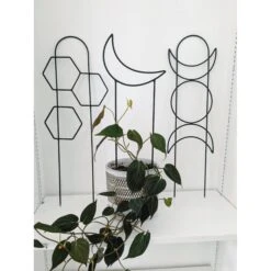 Metal Crescent Moon Trellis -Fresh Plant World c9bb3bb166382b94ca29ef03a4e6893f96052c9cd9d721081a33de6b896523b5