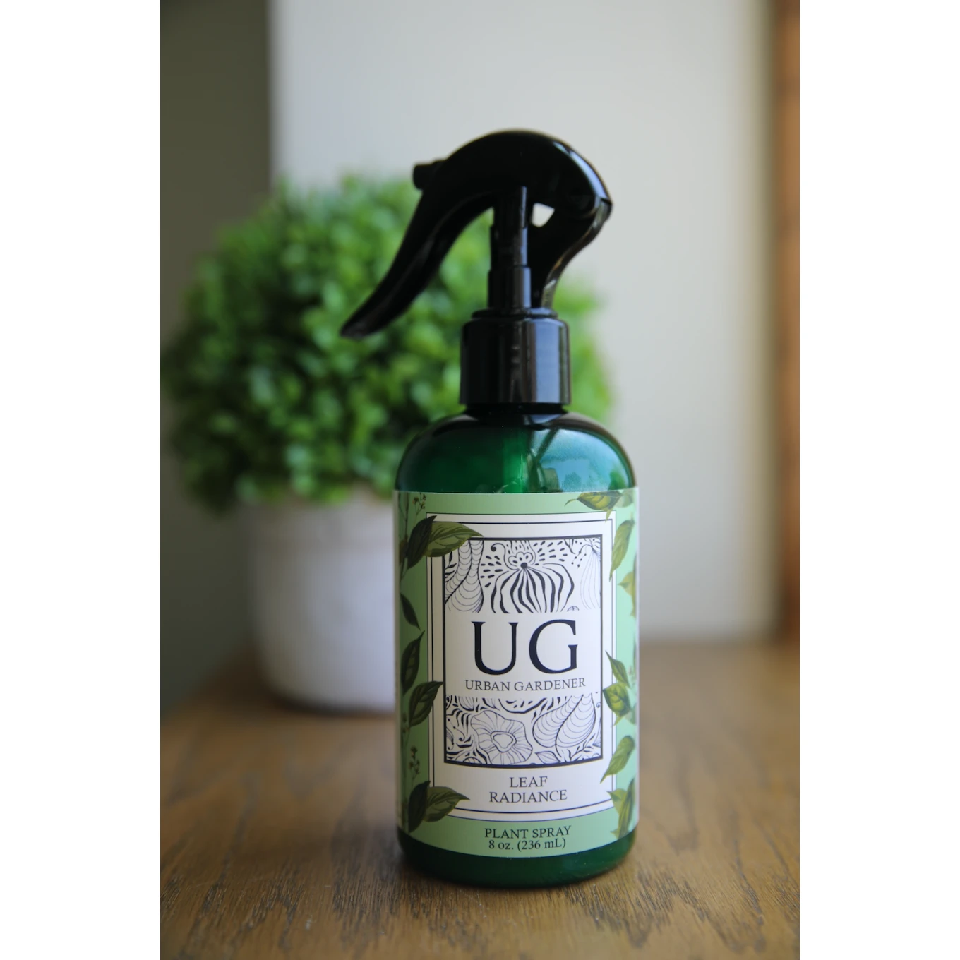 Leaf Radiance - Natural Houseplant Cleaner & Shine 7 Leaf Radiance - Natural Houseplant Cleaner & Shine - Image 7