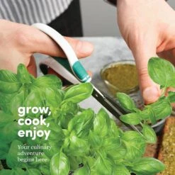 9 Herb Window Garden -Fresh Plant World cf5336d7098920224c0395851cb03e9745d6858be3f54cbbf50871180f498ec8