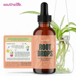 Root Drops - For Propagations & Repotting 13 Root Drops - For Propagations & Repotting -Fresh Plant World d689c882f7359605db440295d3603094efb199973e6c7a94380e72bf2ff8afce