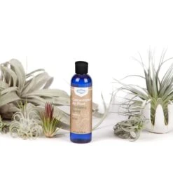 Air Plant Weekly Fertilizing Spray 19 Air Plant Weekly Fertilizing Spray -Fresh Plant World daab993b1eb2979fa74dde4718d2b11b4d4dfd84a64247482fb44ff8042180ac