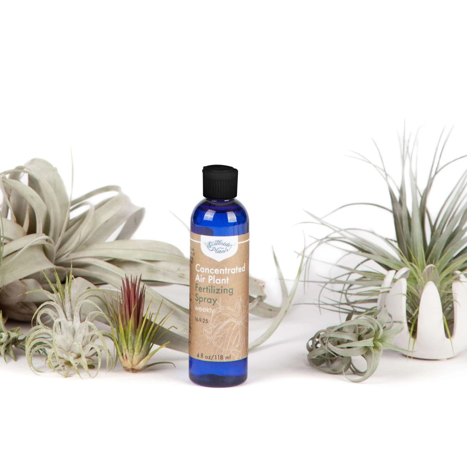 Air Plant Weekly Fertilizing Spray Concentrate 6 Air Plant Weekly Fertilizing Spray Concentrate - Image 6