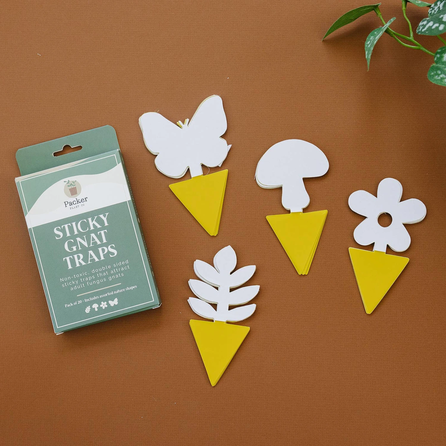 Sticky Gnat Traps (Box) 1 Sticky Gnat Traps (Box)