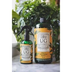 Say No To Bugs - Natural Houseplant Insect Treatment -Fresh Plant World df4bf2c220e28294bdfd3998fe98f710157fc565bc0ba6ed16f4e5c7ce102d7b