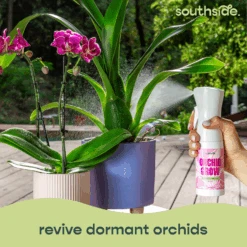 Orchid Grow And Bloom Sprays 36 Orchid Grow And Bloom Sprays -Fresh Plant World e4feb913ae6cbfa932a6b4206d2ec99b457bf560dedbddff4583059e28ea6a75