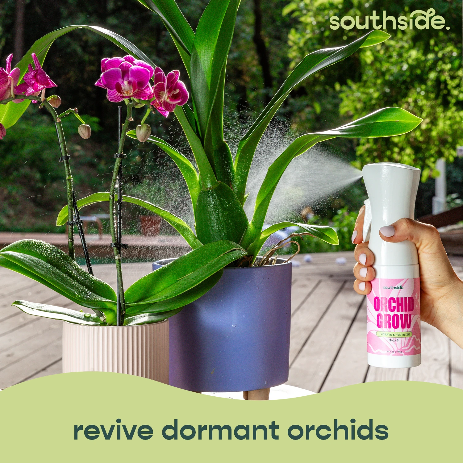 Orchid Grow And Bloom Sprays 17 Orchid Grow And Bloom Sprays - Image 17
