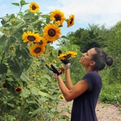 High Performance Garden And Work Glove -Fresh Plant World eec640bf5e218eaec627c1d7e14682a985b6edfc2574f805dabeea993fe8821c