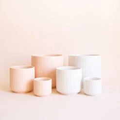 Lucy Pot 7 Lucy Pot -Fresh Plant World f057cba1b8e10dd0f5593a9e511612b0af0b053fd6798d9c50f4e4211f1bddf4