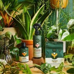 Houseplant Care Essential Kit -Fresh Plant World f132852465eb8cf4cfe9d8beb606cf065ecf7c54789e100425fa9de22f873f4e