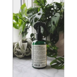 Say No To Bugs - Natural Houseplant Insect Treatment -Fresh Plant World f2641f1ed2bb1116c711039c313a8a7377dc9493383246aa8932fc6a8ff9d25a