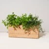 Hydroplanter - Smart