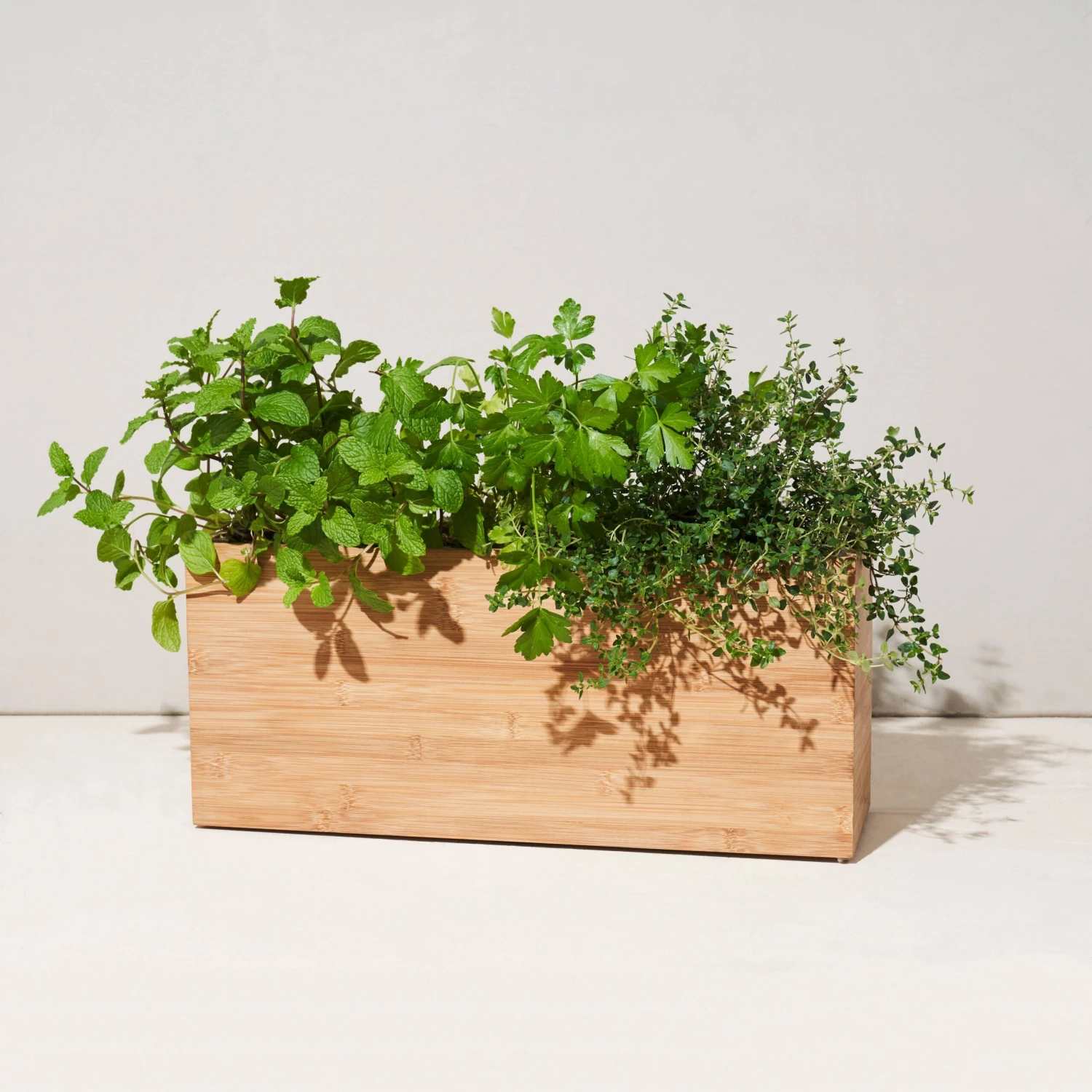 Hydroplanter - Smart 1 Hydroplanter - Smart