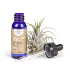 Air Plant Weekly Fertilizing Spray 25 Air Plant Weekly Fertilizing Spray -Fresh Plant World f8eee397b9b0d2efb37f300e207a9ac3682317690b54aedde57141bf56bb8a6f