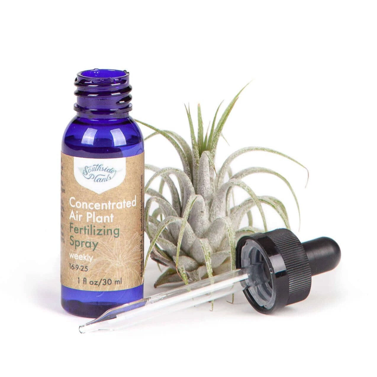 Air Plant Weekly Fertilizing Spray Concentrate 12 Air Plant Weekly Fertilizing Spray Concentrate - Image 12