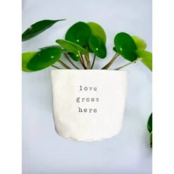 Canvas Plant Pot Cover 9 Canvas Plant Pot Cover -Fresh Plant World fbddc21084fbbc85f9eb3cda2c1fdb35ebe049a5f26f724e54058979ddcbde53